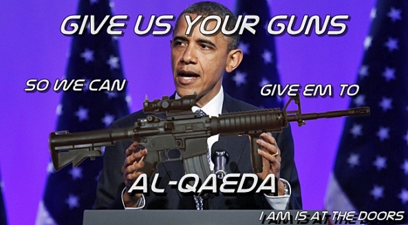 obama-guns